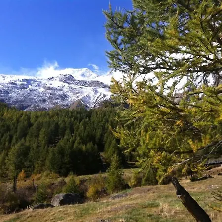 Appartamento Mikado By Interhome Saas-Fee