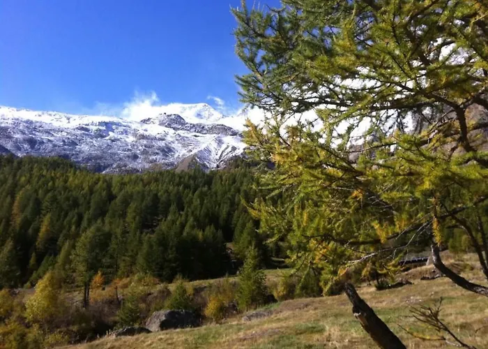 Appartamento Mikado By Interhome Saas-Fee